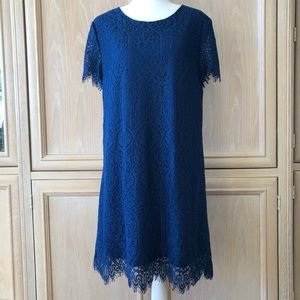 Francescas Blue Lace Dress